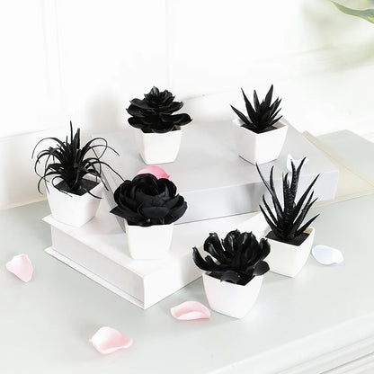 Black Artificial Succulents - 6PCS Small Potted Plants for Home  Office Decor - ZOOMNSTORE