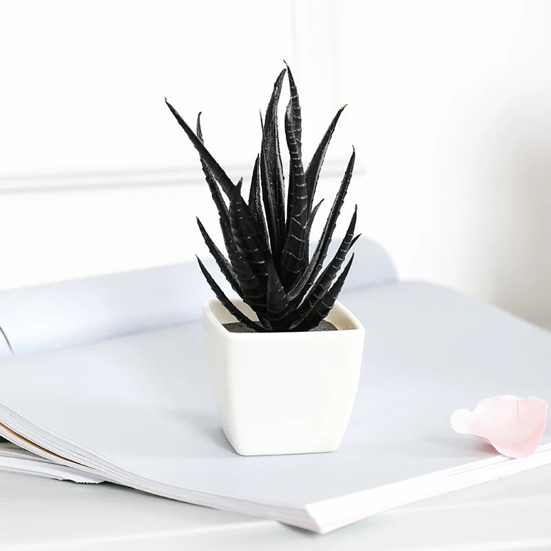 Black Artificial Succulents - 6PCS Small Potted Plants for Home  Office Decor - ZOOMNSTORE