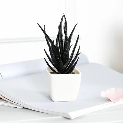 Black Artificial Succulents - 6PCS Small Potted Plants for Home  Office Decor - ZOOMNSTORE
