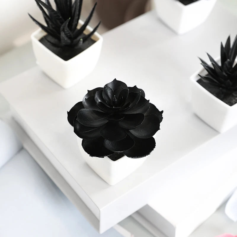 Black Artificial Succulents - 6PCS Small Potted Plants for Home  Office Decor - ZOOMNSTORE
