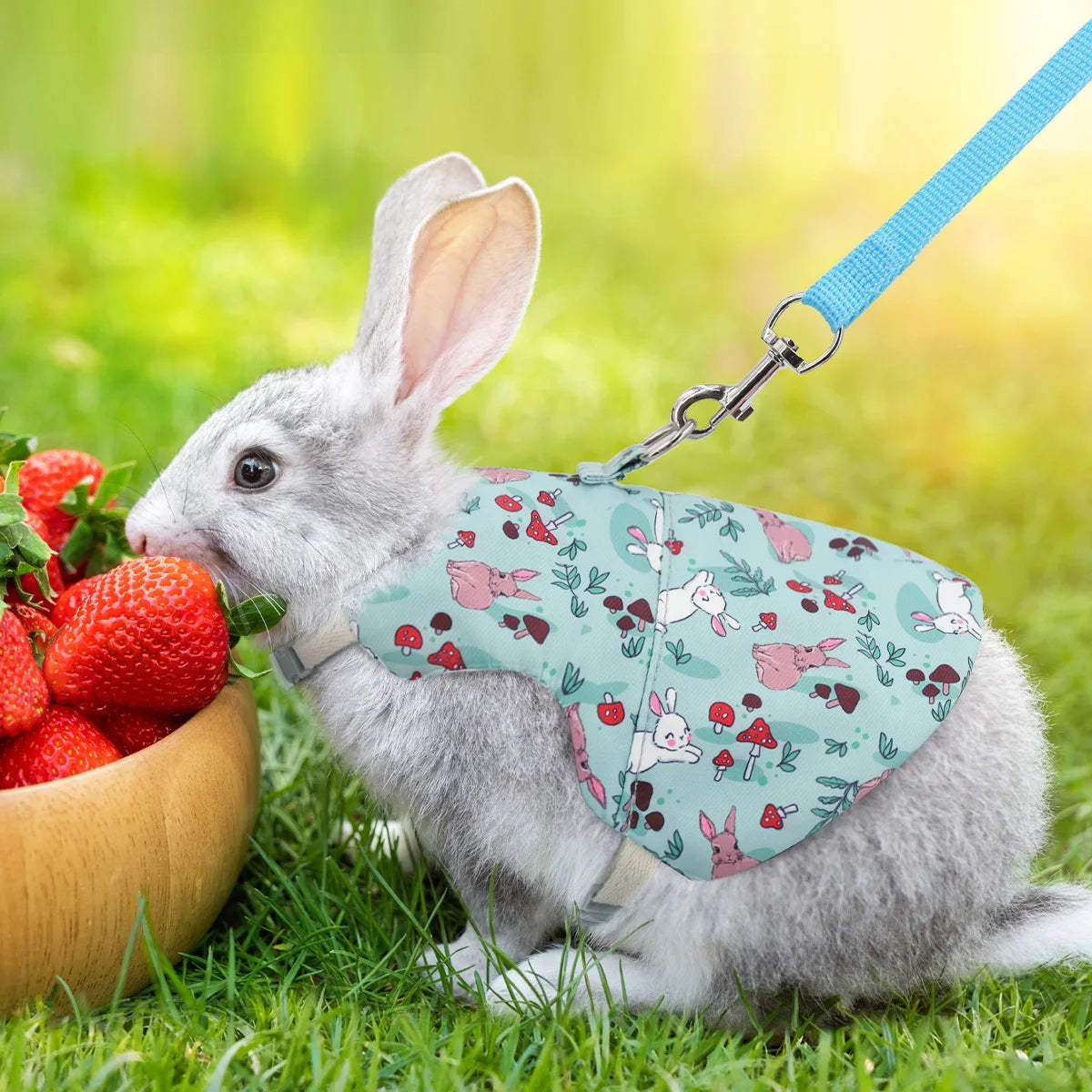 Stylish Outdoor Rabbit Harness - Breathable Printed Pet Vest - ZOOMNSTORE