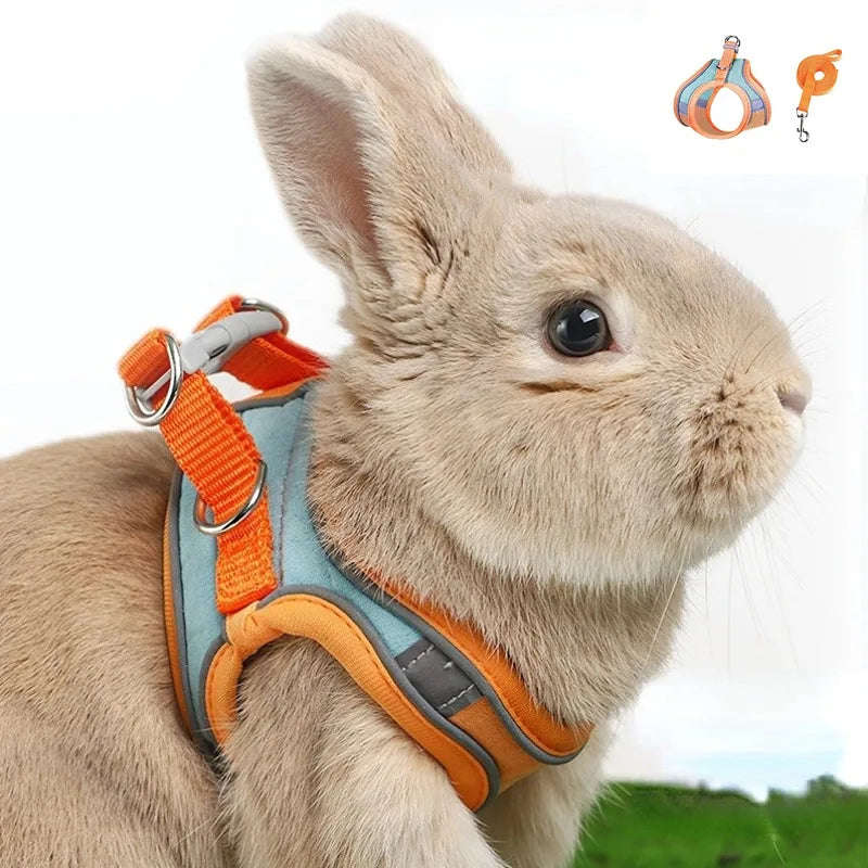 Adjustable Bunny Harness and Leash Set - Reflective Rabbit Vest for Walks - ZOOMNSTORE