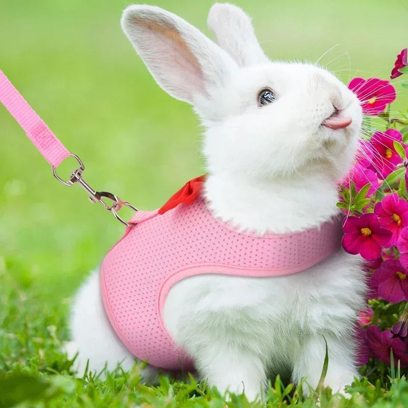 Adjustable Bunny Harness  Leash Set - Soft Vest for Small Pets Rabbits Ferrets Kittens - ZOOMNSTORE