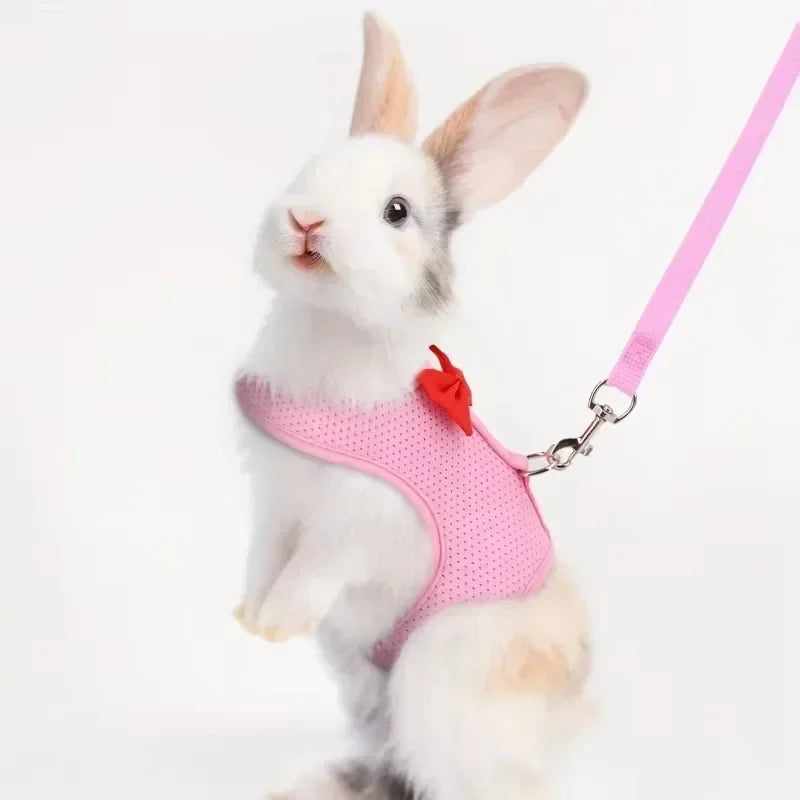 Adjustable Bunny Harness  Leash Set - Soft Vest for Small Pets Rabbits Ferrets Kittens - ZOOMNSTORE