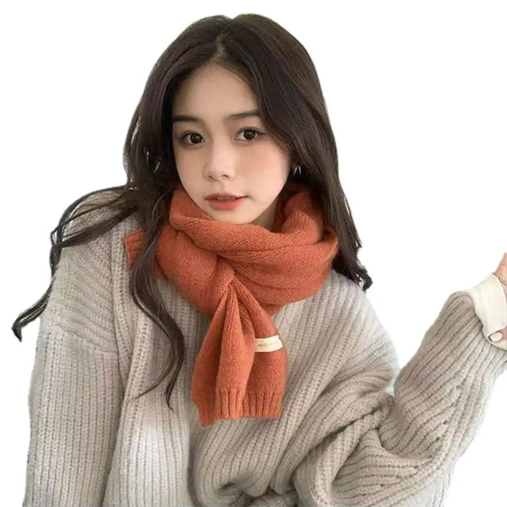 Cashmere Scarf Women – Thick Knitted Warm Scarf, Winter Shawls & Pashmina Wrap - ZOOMNSTORE