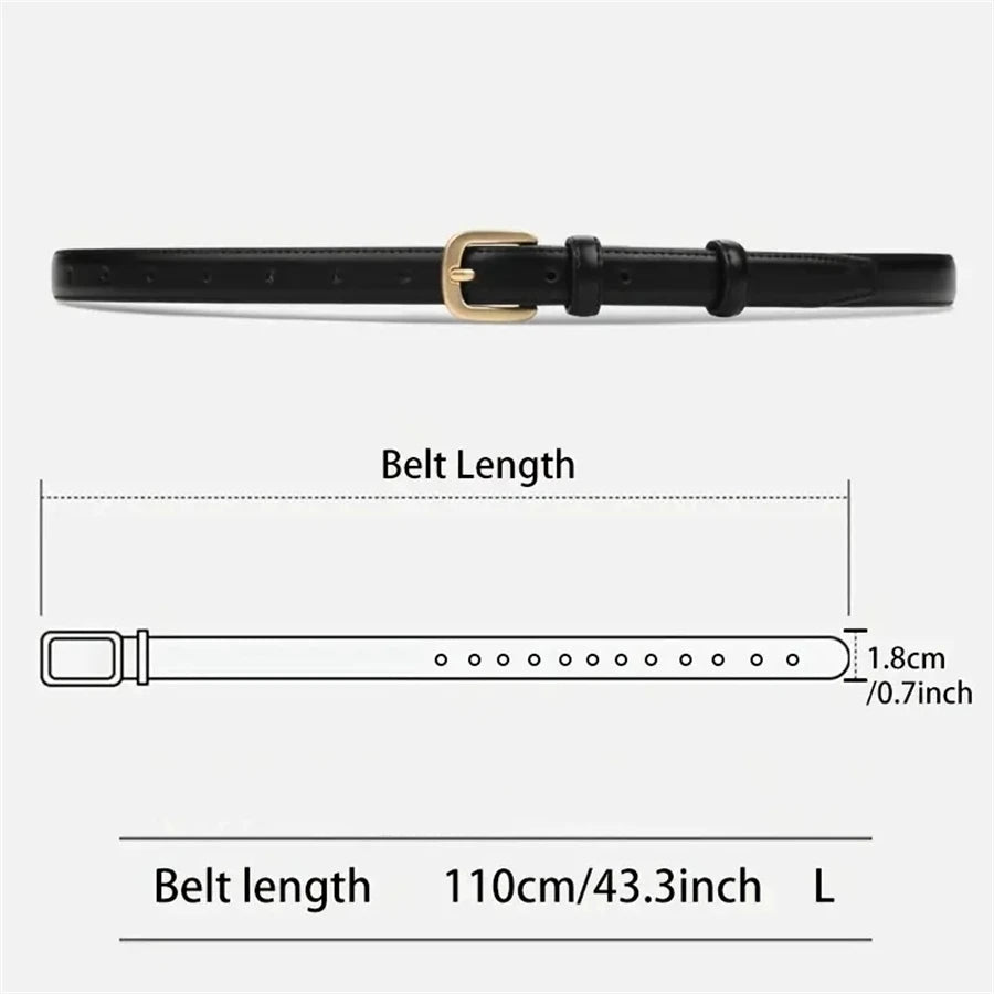 Casual Fashion Belt 2-Pack - High-End Needle Buckle Double Loop for Daily Wear - ZOOMNSTORE