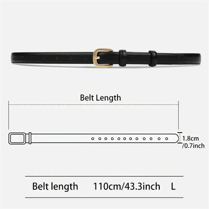 Casual Fashion Belt 2-Pack - High-End Needle Buckle Double Loop for Daily Wear - ZOOMNSTORE