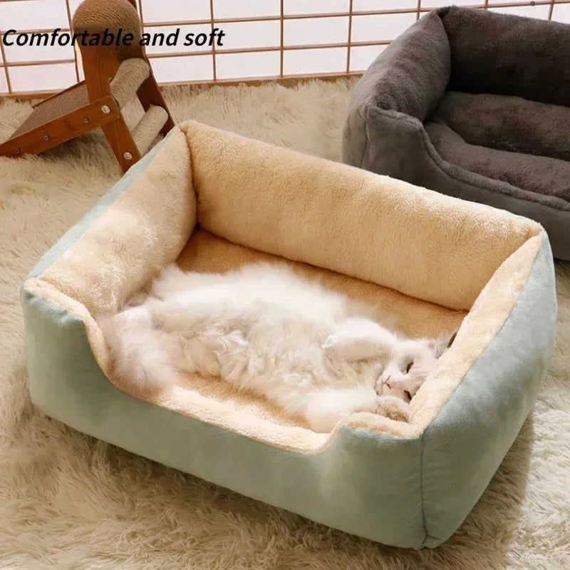 Bed for Cats Pet Products Cushions Kitten Winter Accessories Dog All Houses Supplies Things Accessory Habitats Basket House Beds - ZOOMNSTORE