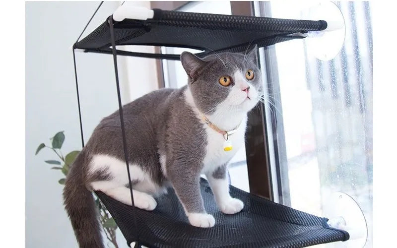 Cat Hammock Window Bed Kitten Sunny Seat Hanging Mount Beds Cat Sofa double-decker tunnels Suction Cup Wall Pet Hanging Winter - ZOOMNSTORE