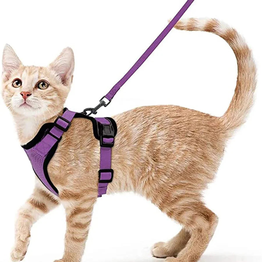 Escape Proof Cat Harness and Leash - Adjustable Soft Vest for Walking - ZOOMNSTORE