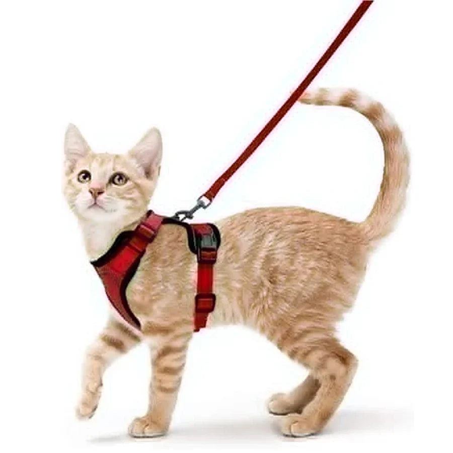 Escape Proof Cat Harness and Leash - Adjustable Soft Vest for Walking - ZOOMNSTORE