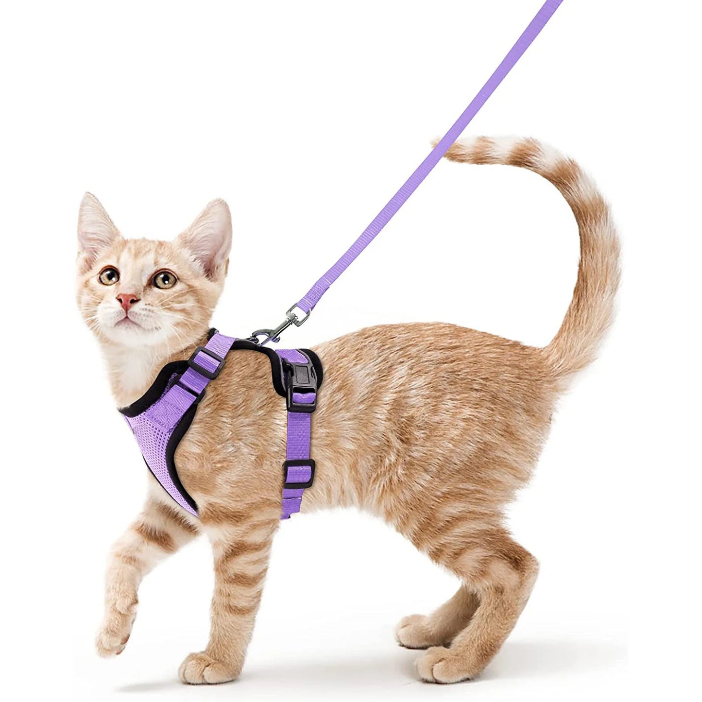 Escape Proof Cat Harness and Leash - Adjustable Soft Vest for Walking - ZOOMNSTORE