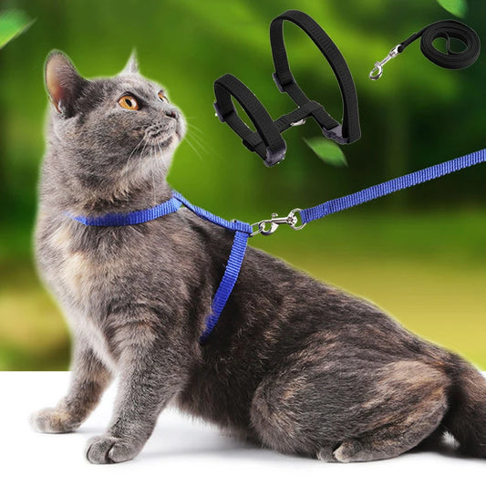 Sphynx Cat Harness and Leash Set - Convenient Outdoor Pet Accessories - ZOOMNSTORE
