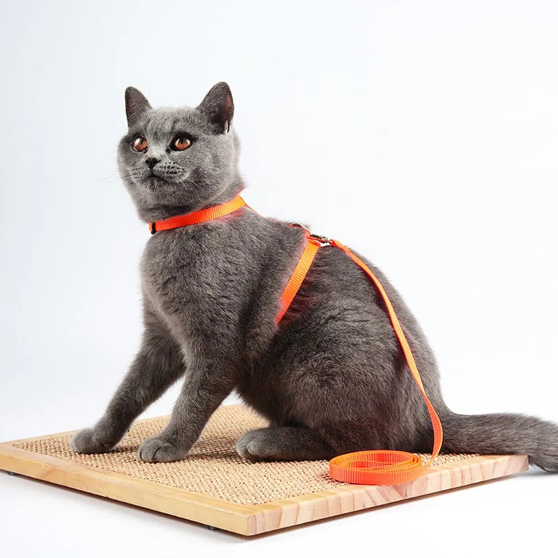 Sphynx Cat Harness and Leash Set - Convenient Outdoor Pet Accessories - ZOOMNSTORE