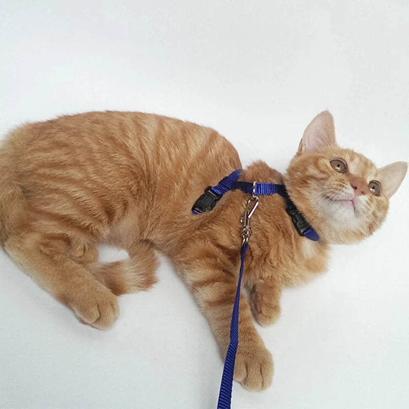 Sphynx Cat Harness and Leash Set - Convenient Outdoor Pet Accessories - ZOOMNSTORE