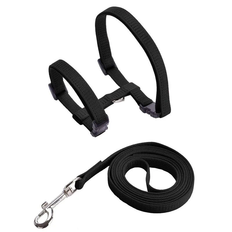 Sphynx Cat Harness and Leash Set - Convenient Outdoor Pet Accessories - ZOOMNSTORE