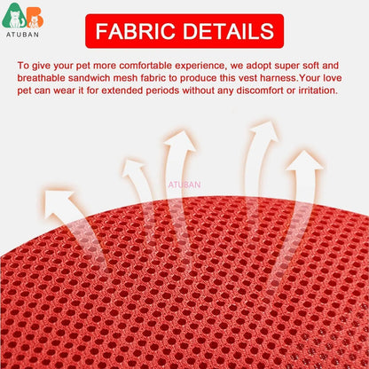 Escape Proof Cat Harness and Leash Set - Adjustable Reflective Vest for Outdoor Walking - ZOOMNSTORE