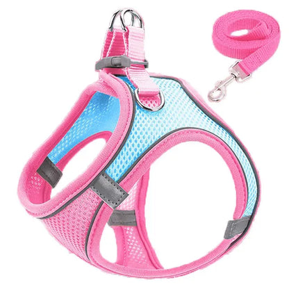 Reflective Cat Harness and Leash Set - Adjustable Pet Harness for Cats and Small Dogs - ZOOMNSTORE