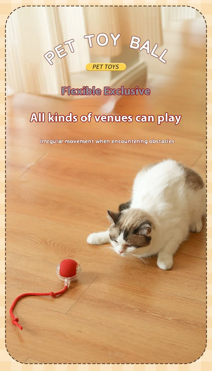Interactive Cat Toy - Automatic Rolling Ball with Faux Tail - ZOOMNSTORE