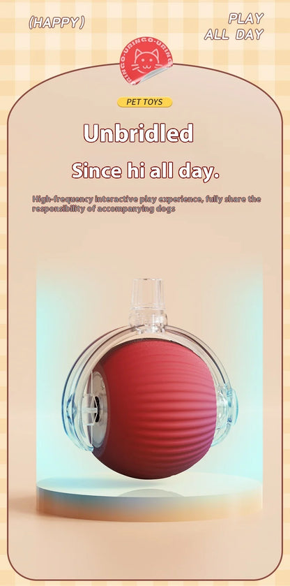 Interactive Cat Toy - Automatic Rolling Ball with Faux Tail - ZOOMNSTORE