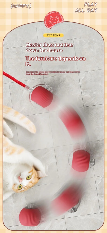 Interactive Cat Toy - Automatic Rolling Ball with Faux Tail - ZOOMNSTORE