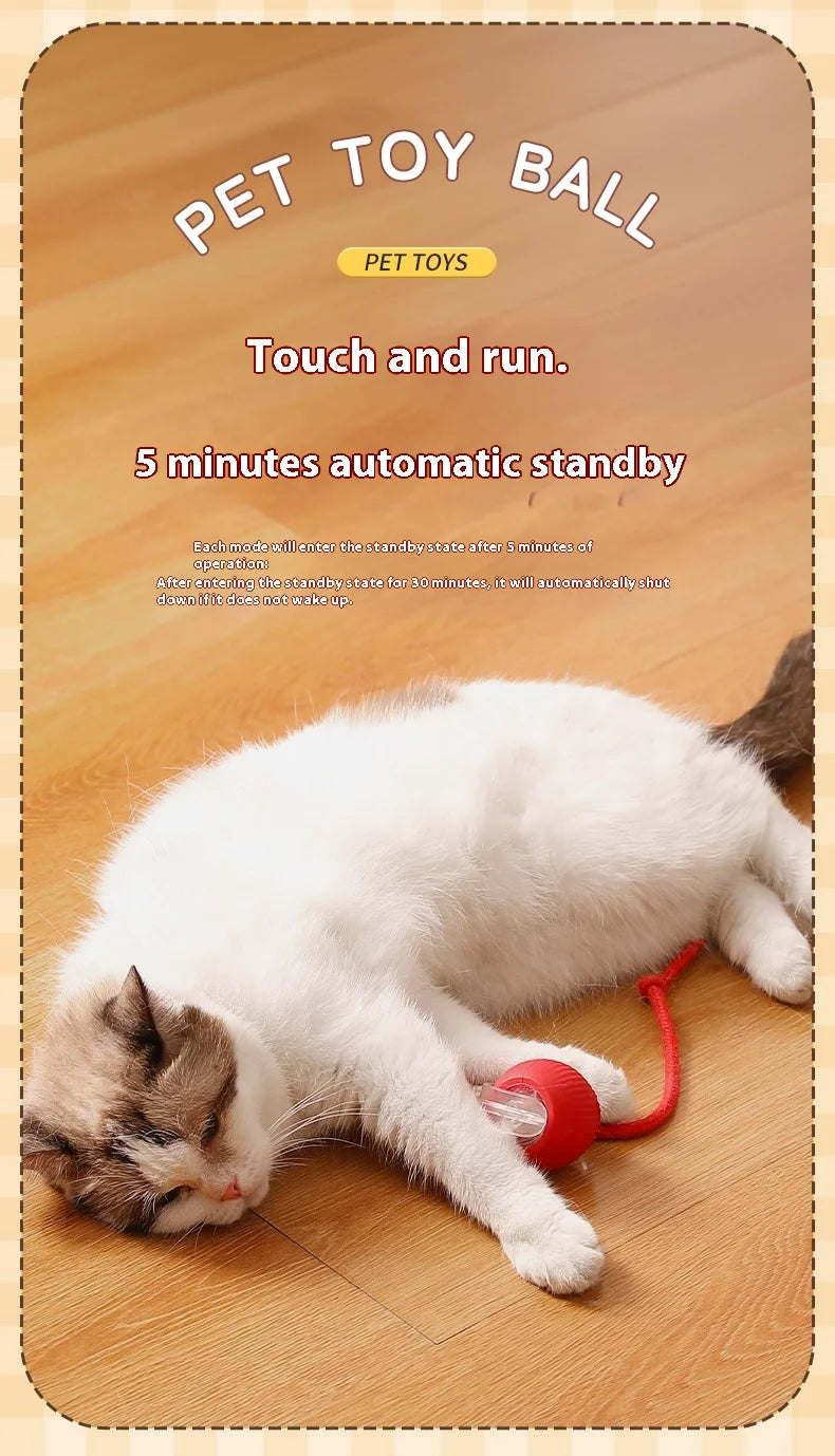 Interactive Cat Toy - Automatic Rolling Ball with Faux Tail - ZOOMNSTORE