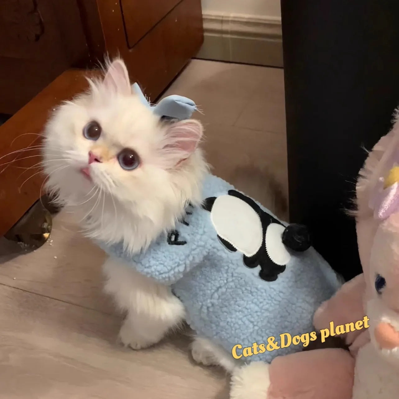 Cat Sweater - Soft Cozy Winter Pullover for Cats & Small Dogs | Warm Pet Clothes - ZOOMNSTORE