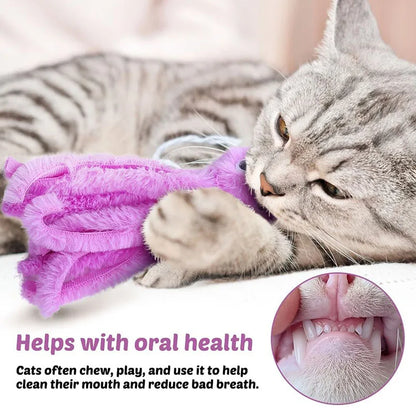Octopus Cat Teething Stick - Hot Toy for Kittens and Cats - ZOOMNSTORE