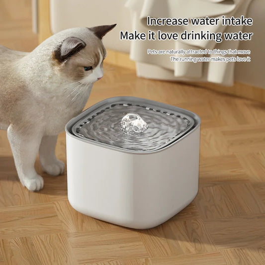 Cat Water Fountain – Automatic Large Capacity USB Waterer With Filtered Recirculating System - ZOOMNSTORE