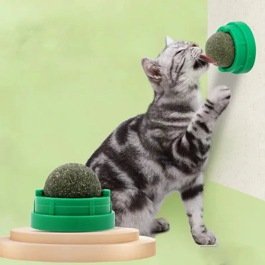 Catnip Cat Toy - Natural Cat Grass Ball Stick-On Scratchers for Kitten Play & Dental Health - ZOOMNSTORE