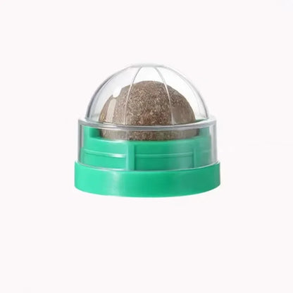 Catnip Cat Toy - Natural Catnip Balls Sticky Wall Scratcher for Cat Entertainment - ZOOMNSTORE