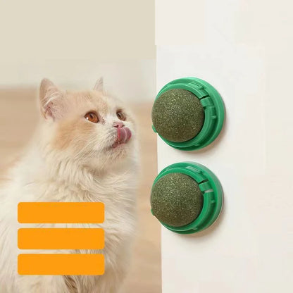 Catnip Wall Ball Toy - Natural Scratchers  Digestion Treats - ZOOMNSTORE