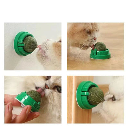 Catnip Wall Ball Toy - Natural Scratchers  Digestion Treats - ZOOMNSTORE