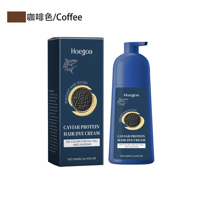 Caviar Protein Hair Dye Shampoo - Nourishing Gray White Color Treatment 500ml - ZOOMNSTORE