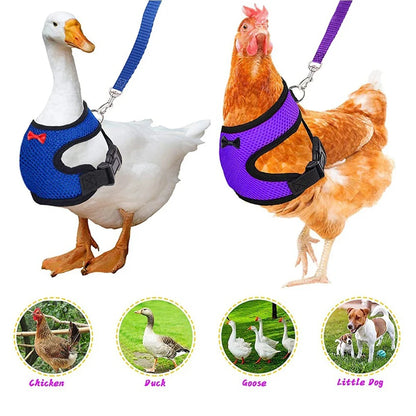 Adjustable Chicken Duck Harness Leash - Comfortable Small Pet Vest for Training and Walking - ZOOMNSTORE