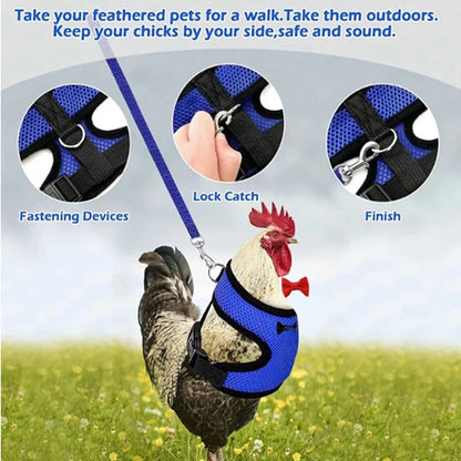 Adjustable Chicken Duck Harness Leash - Comfortable Small Pet Vest for Training and Walking - ZOOMNSTORE