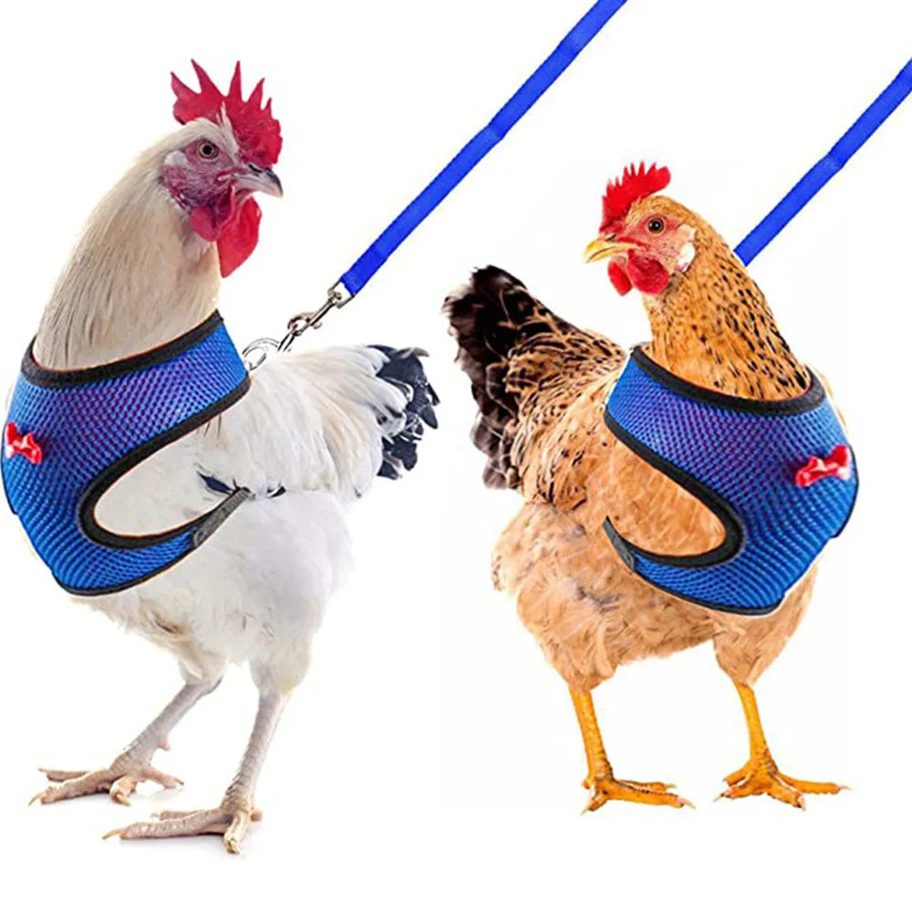 Adjustable Chicken Duck Harness Leash - Comfortable Small Pet Vest for Training and Walking - ZOOMNSTORE