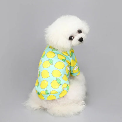 Chihuahua Dog Hoodie - Warm Pullover for Small Dogs  Cats - ZOOMNSTORE