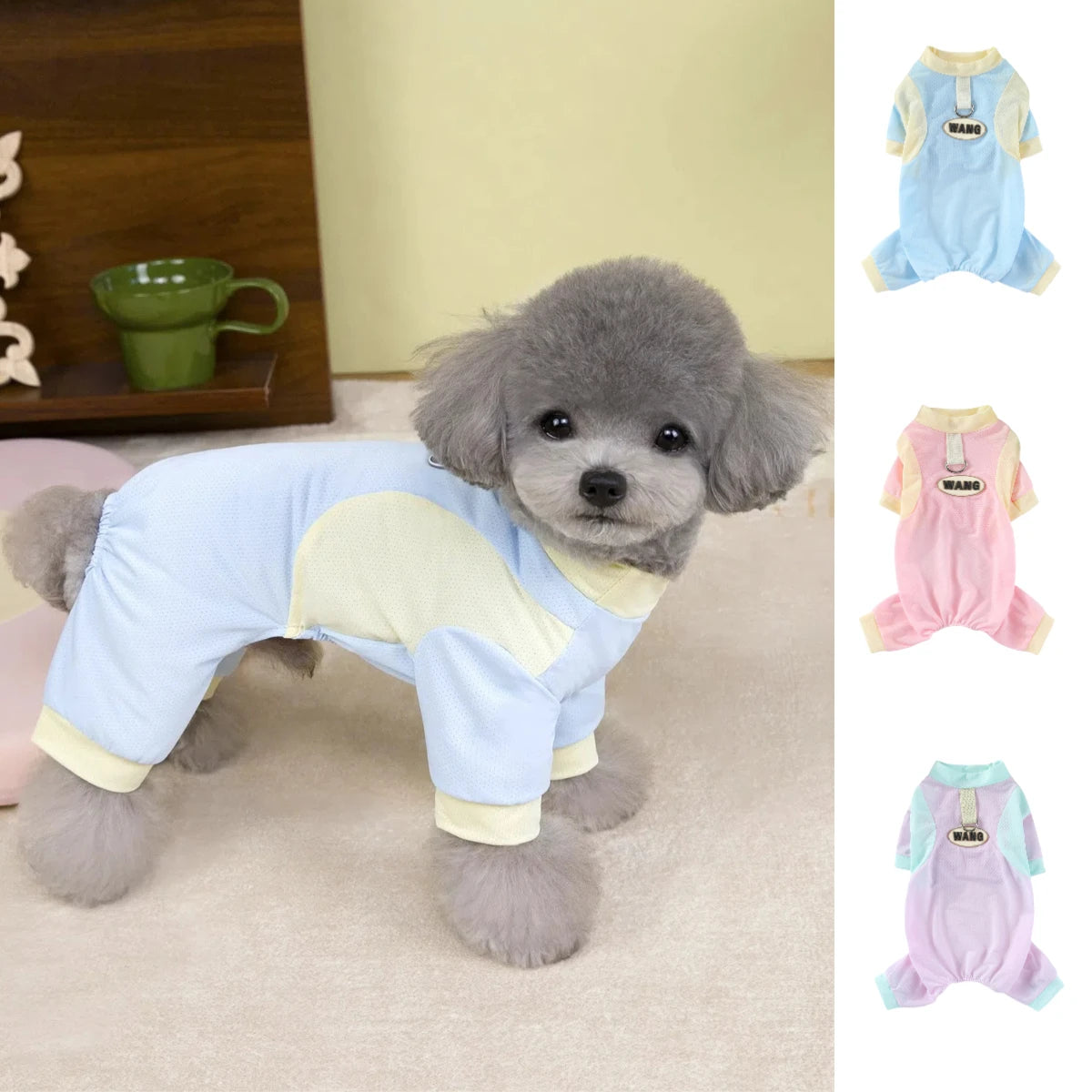 ZOOMNSTORE