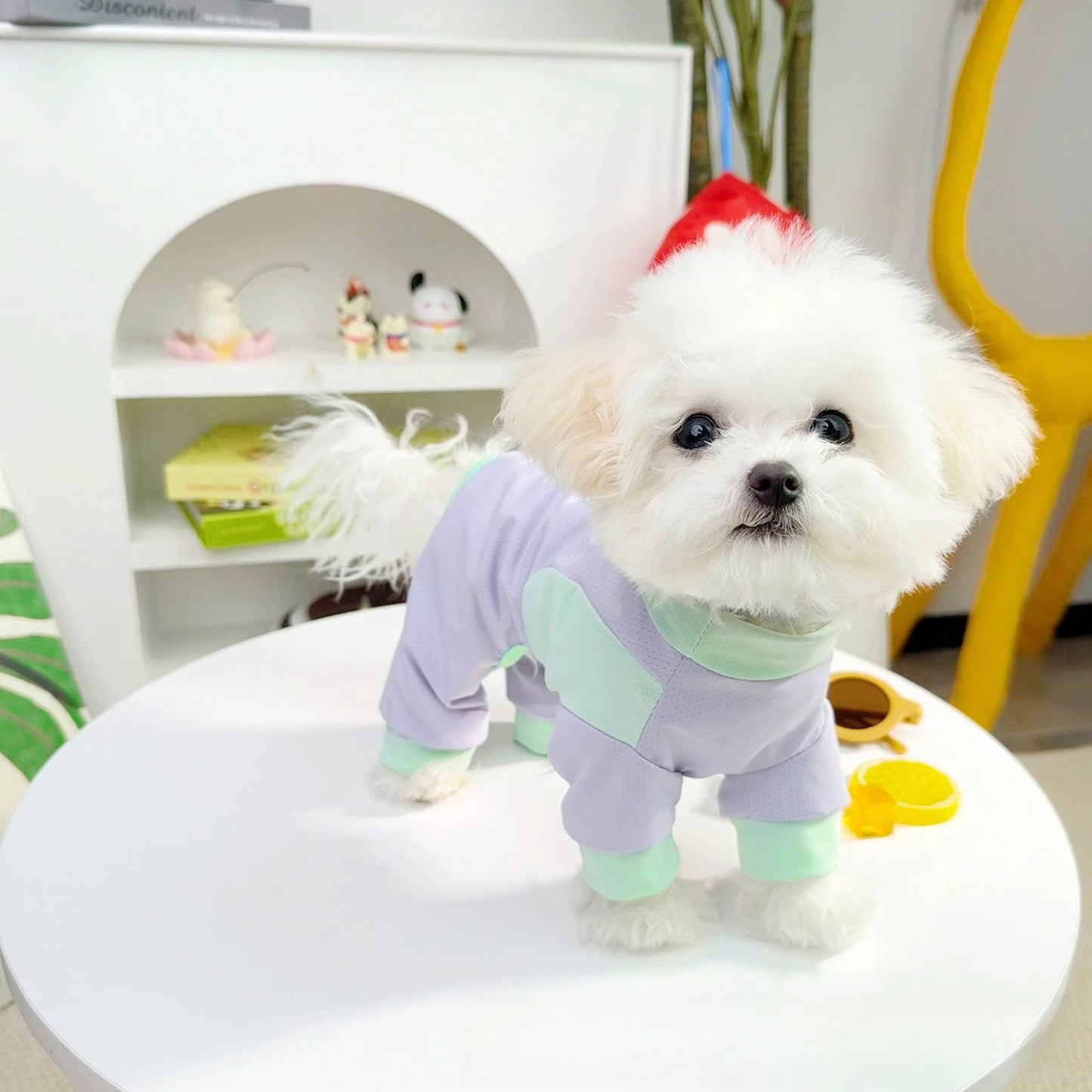 Cooling Dog Jumpsuit - Breathable Ice Silk Summer Vest for Small Dogs - ZOOMNSTORE