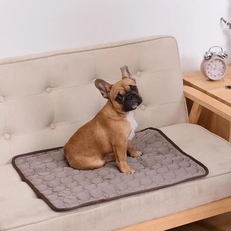 Cooling Dog Mat - Summer Washable Pet Bed for Small to Large Dogs and Cats - ZOOMNSTORE