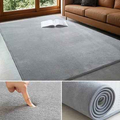 Coral Velvet Carpet – Modern Area Rug With Non Slip Backing For Living Room - ZOOMNSTORE