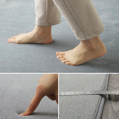 Coral Velvet Carpet – Modern Area Rug With Non Slip Backing For Living Room - ZOOMNSTORE