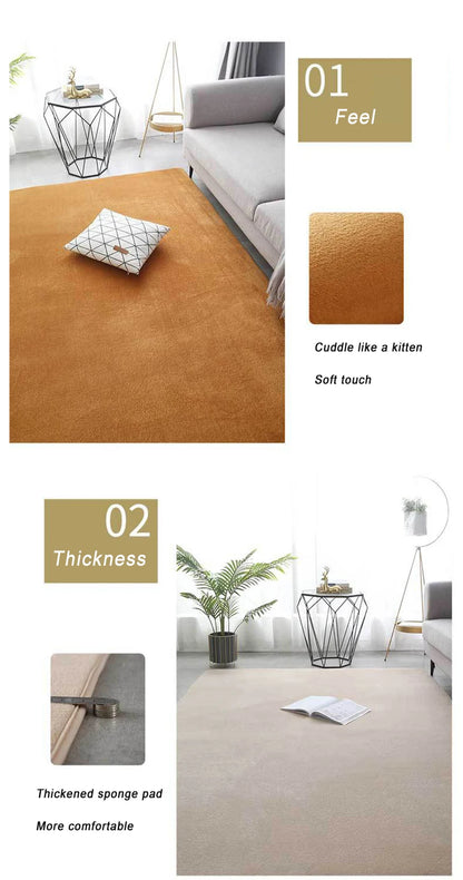 Coral Velvet Carpet – Modern Area Rug With Non Slip Backing For Living Room - ZOOMNSTORE