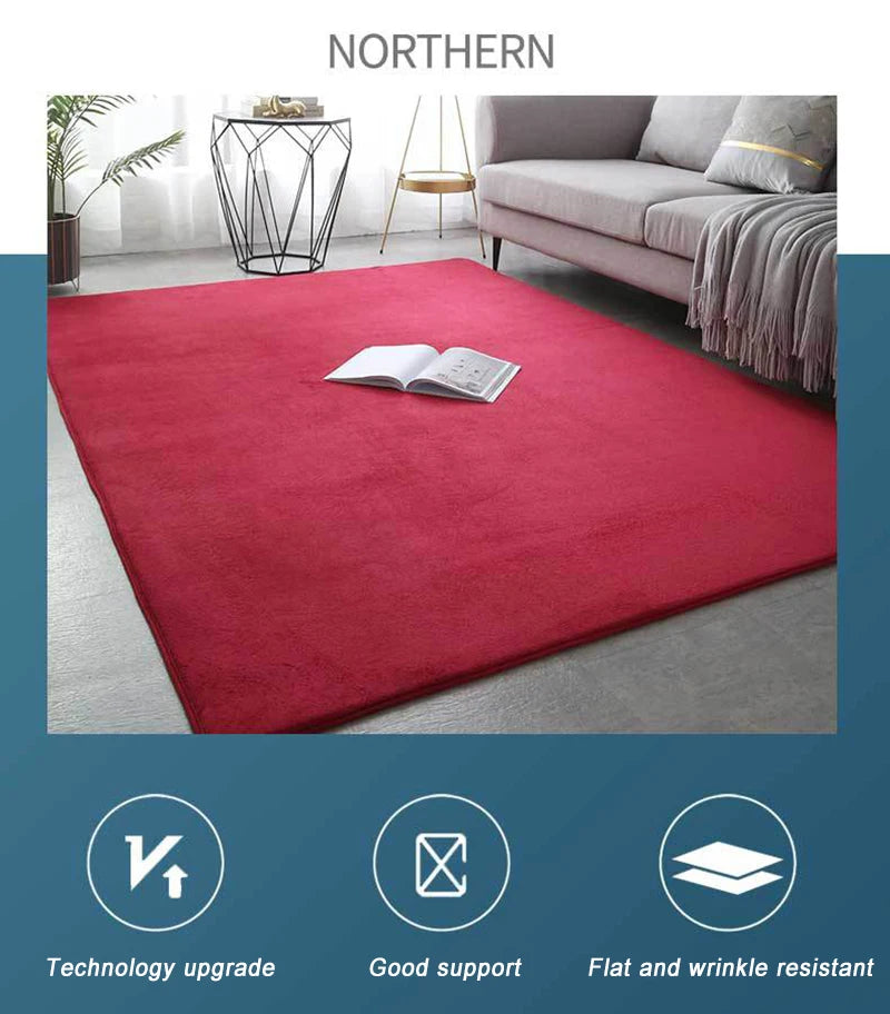 Coral Velvet Carpet – Modern Area Rug With Non Slip Backing For Living Room - ZOOMNSTORE