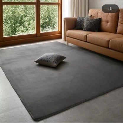 Coral Velvet Carpet – Modern Area Rug With Non Slip Backing For Living Room - ZOOMNSTORE