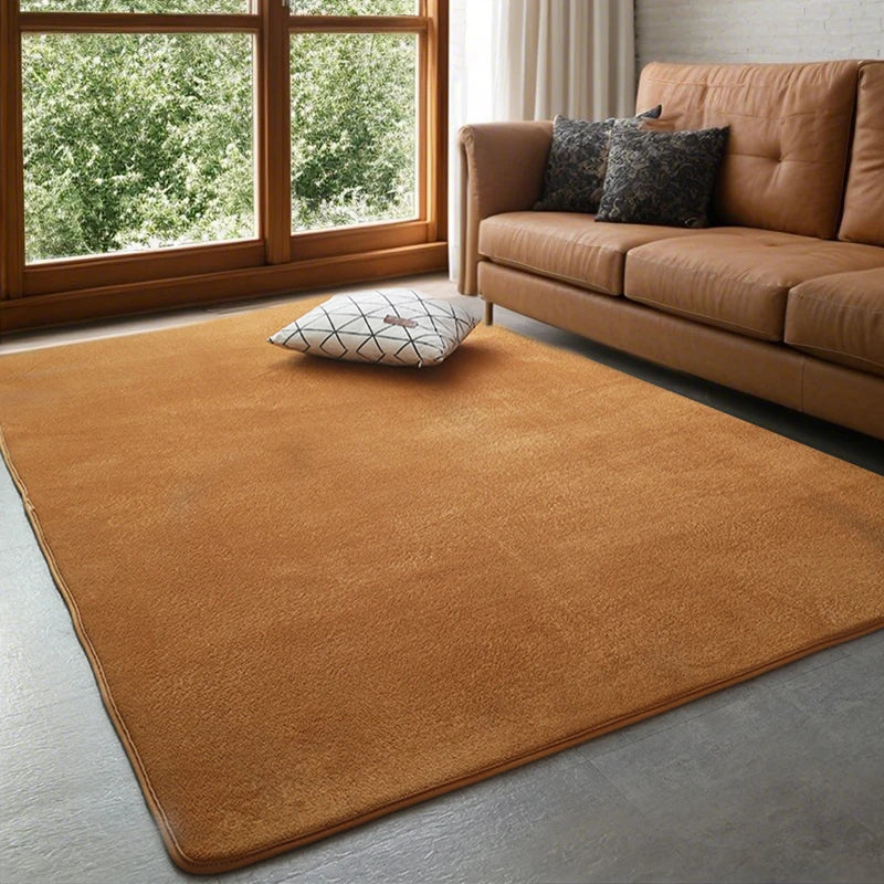 Coral Velvet Carpet – Modern Area Rug With Non Slip Backing For Living Room - ZOOMNSTORE