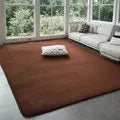 Coral Velvet Carpet – Modern Area Rug With Non Slip Backing For Living Room - ZOOMNSTORE
