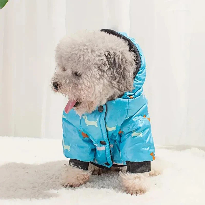 ZOOMNSTORE