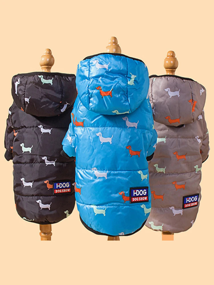 ZOOMNSTORE